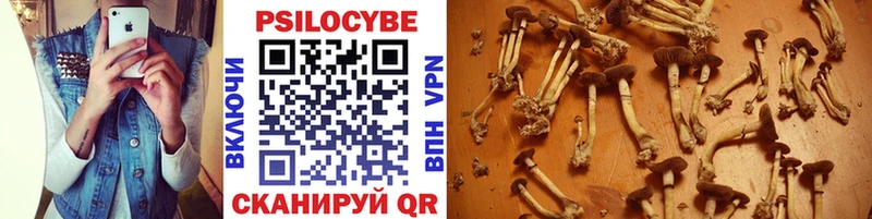 blacksprut вход Красноармейск Галлюциногенные грибы Psilocybine cubensis
